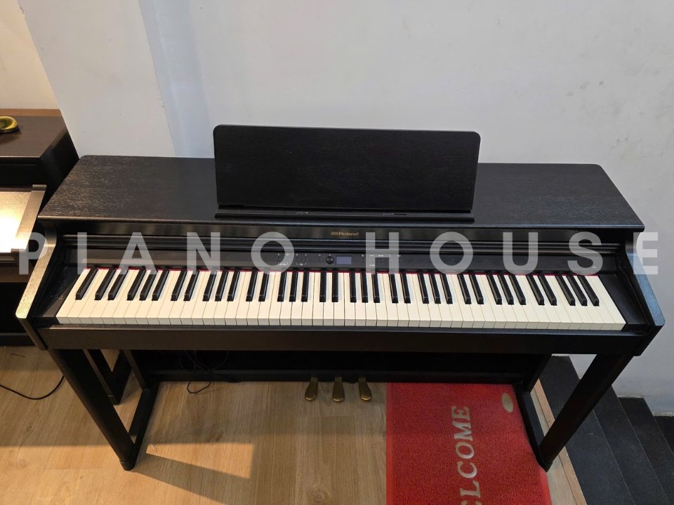 ROLAND RP-701 CB (USED) - Ảnh thực tế 3